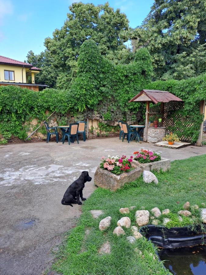 Къща За Гости -Хт Svilengrad Bagian luar foto