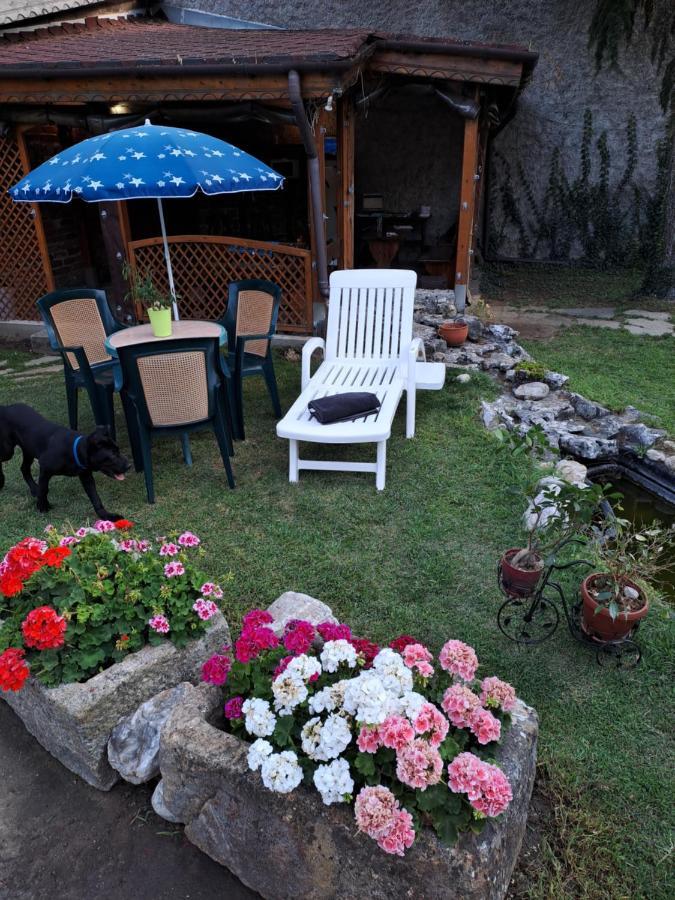 Къща За Гости -Хт Svilengrad Bagian luar foto